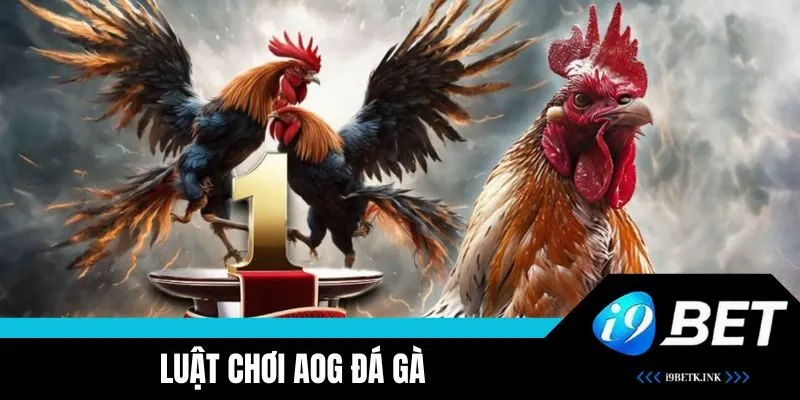 Hướng dẫn quy tắc chơi 