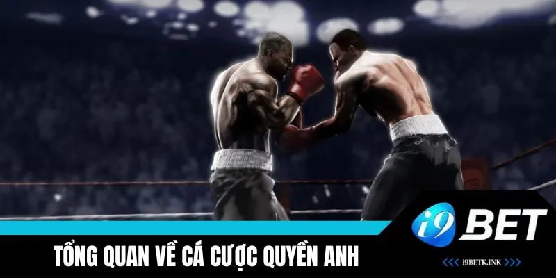 Cá cược quyền anh tại i9BET được nhiều người ưa thích