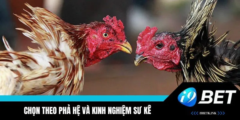 Cách làm sung chiến kê giúp chống chịu tốt từ cao thủ