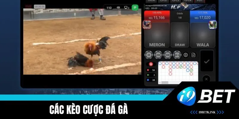 Các loại cược kèo phổ biến