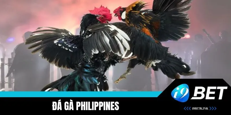 Đá Gà Philippines