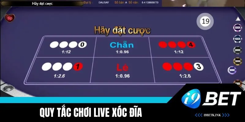 Quy tắc và xác suất trong xóc đĩa