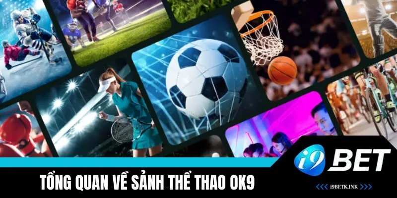 Tìm hiểu về sảnh OK9 Thể Thao hấp dẫn 